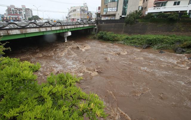 제14호 태풍 '찬투' 영향으로 한라산에 폭우가 쏟아진 가운데 14일 오후 제주시 용담2동 한천 아래로 급류가 흐르고 있다. 뉴시스