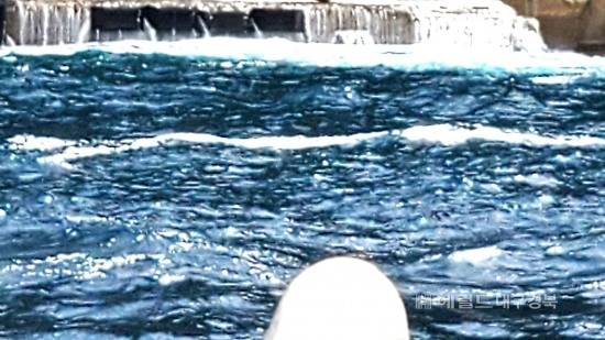 14일 울릉도 유명관광지 죽도에  높은 파도가 밀려와 선착장에 접안하려던 유람선이  접안을 포기한채  해경에 도움을 요청했지만 해경의 늦장 대응으로  관광객들이 불안해 하면서   비난받고 있다(사진=독자 제공)