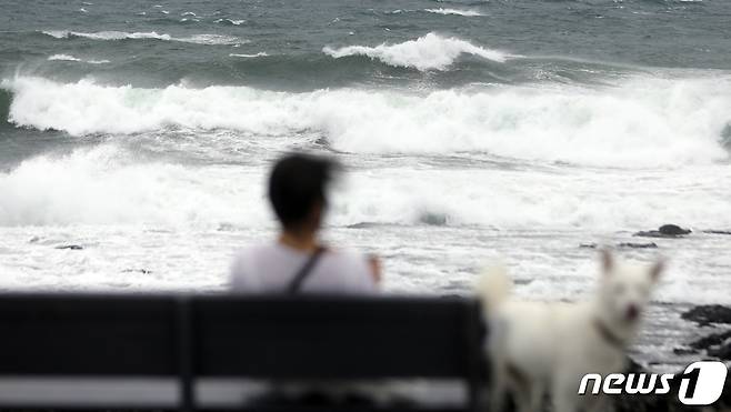 제14호 태풍 '찬투(CHANTHU)'가 북상 중인 15일 제주 서귀포시 예래동 인근 해상에 높은 파도가 일고 있다.2021.9.15/뉴스1 © News1 고동명 기자