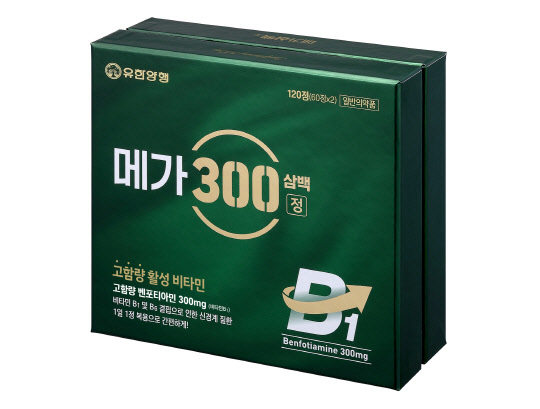 메가300