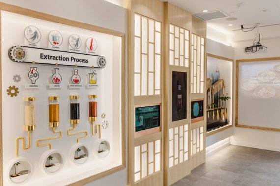 정관장 진생 뮤지엄 카페 내부