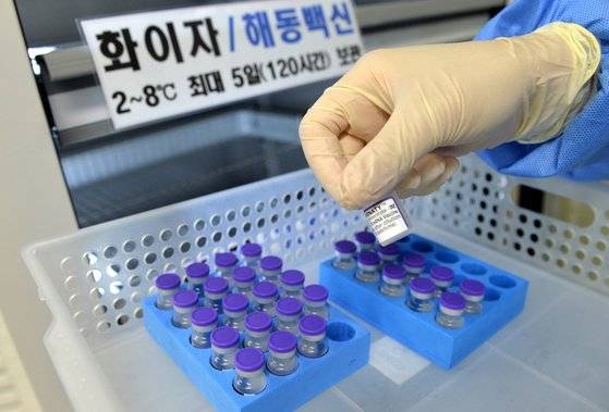 신종 코로나바이러스 감염증(코로나19)이 전국 확산하고 있는 가운데 9일 오후 대전 서구 예방접종센터에서 의료진이 시민들에게 접종할 화이자 백신을 신중히 준비하고 있다. [프리랜서 김성태]
