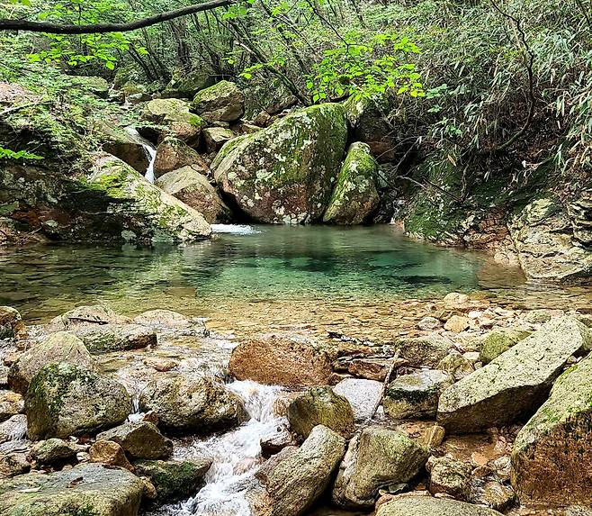 기차산 산행로에 늘 청정 옥수의 계곡 혹은 실개천이 동행한다.
