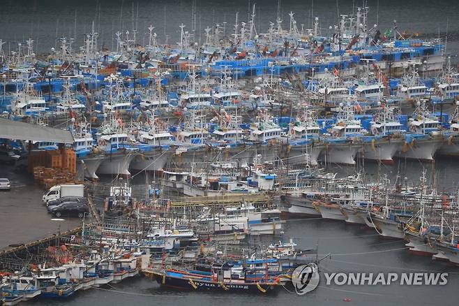 태풍 '찬투' 제주 접근…서귀포항 '긴장' (서귀포=연합뉴스) 박지호 기자 = 태풍 '찬투'가 제주를 향해 접근하는 16일 오전 서귀포에 어선들이 대피해 있다. 2021.9.16 jihopark@yna.co.kr