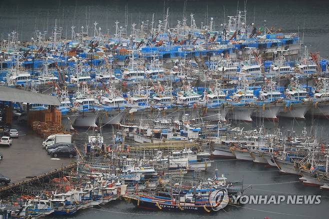 태풍 '찬투' 제주 접근…서귀포항 '긴장' (서귀포=연합뉴스) 박지호 기자 = 태풍 '찬투'가 제주를 향해 접근하는 16일 오전 서귀포에 어선들이 대피해 있다. 2021.9.16 jihopark@yna.co.kr