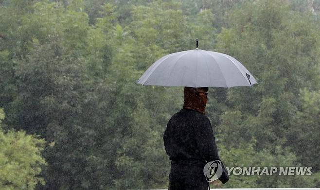 비 [연합뉴스 자료사진]