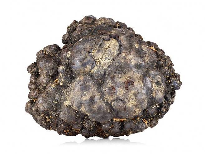 망간단괴에는 망간 20~30%를 비롯해 40여 종의 금속성분이 포함돼 있다. 메탈스컴퍼니 제공