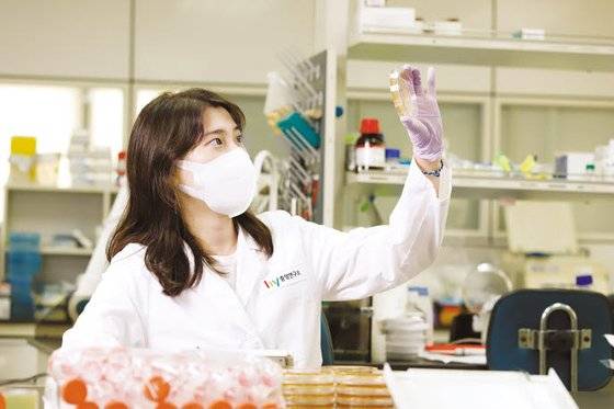 항산화 기능을 갖춘 프리미엄 유산균 ‘ME-3’가 젊고 건강한 삶을 위한 필수 소재로 주목받고 있다. hy는 지난해 4월 본격화한 균주 B2B 거래를 통해 ME-3를 국내에 독점 공급한다. [사진 hy]