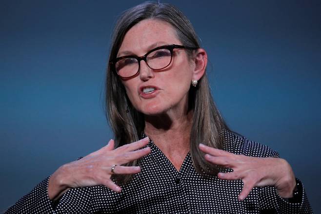 캐시 우드 아크인베스트먼트 최고경영자(CEO) /사진=로이터통신