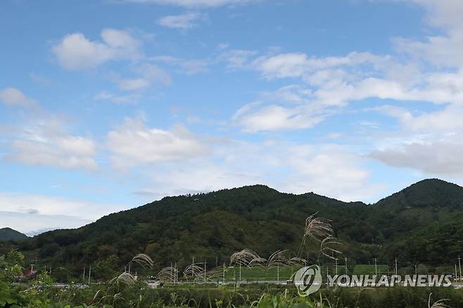 비구름 물러가자 드러나는 가을하늘 (순천=연합뉴스) 정회성 기자 = 제14호 태풍 '찬투'의 영향권에서 벗어나기 시작한 17일 오후 전남 순천시 승주읍 일원 하늘이 맑게 개고 있다. 2021.9.17 hs@yna.co.kr
