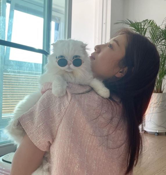 Actor Park Shin-hye has reported on his recent situation.Park Shin-hye posted several photos on his SNS account on the 17th.In the open photo, Park Shin-hye stares up, holding Cat in his arms, revealing a clean side and creating a warm atmosphere.In particular, Park Shin-hye said, Lets try to open a carrot because I have a little Amiya sungri. I had a bath a while ago, but why did my feet get twisted?Meanwhile, Park Shin-hye appeared in the JTBC drama Sisyps, which ended in April; he is currently in a public relationship with actor Choi Tae-joon, and is reviewing his next film.