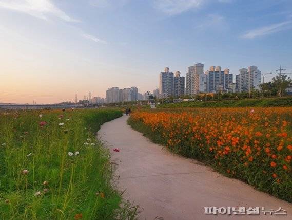 자유로 따라 황금노을 물드는 파주 문산노을길. 사진제공=파주시