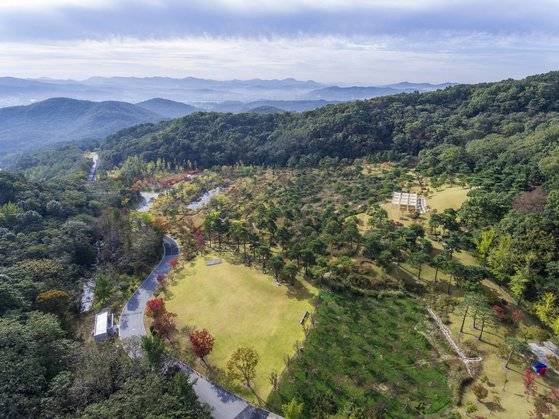 에버랜드는 용인 향수산 자락의 '포레스트 캠프'를 일시적으로 개방한다. 9만㎡(약 2만7000평)에 이르는 너른 숲으로, 예약을 통해 하루 300명만 입장할 수 있다. 사진 에버랜드