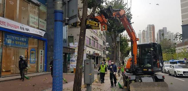 진동수확기를 이용해 은행나무를 털고 있는 모습. 서울시 제공