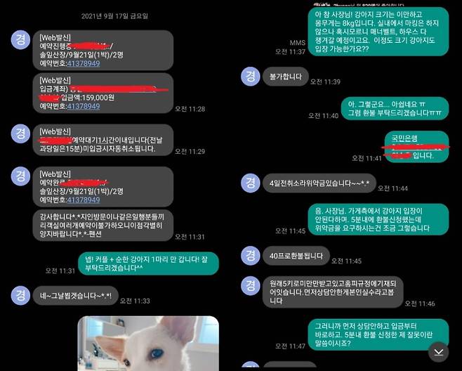 /출처=온라인 커뮤니티 보배드림 캡처
