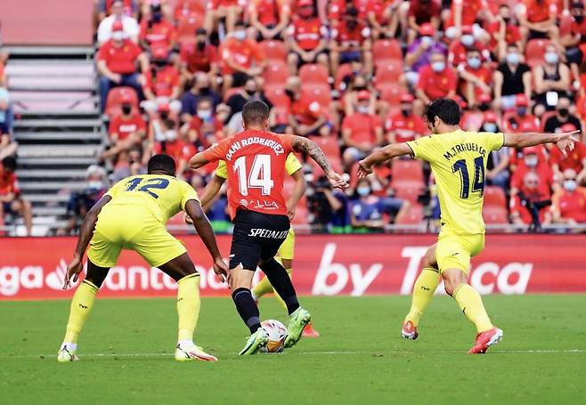 다니 로드리게스 [마요르카 트위터 캡처. 재판매 및 DB 금지]