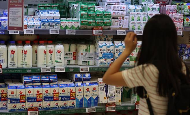 서울 시내의 한 대형마트에서 시민들이 우유를 고르는 모습. /뉴시스
