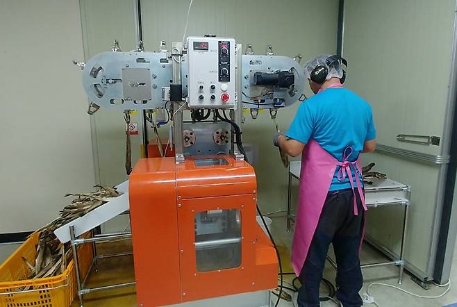 강원도 인제군에 위치한 황태 가공 장애인 작업장 '으뜸올푸드' 직원이 황태를 눌러서 펴는 '타발작업'을 하고 있다./사진제공=삼성전자