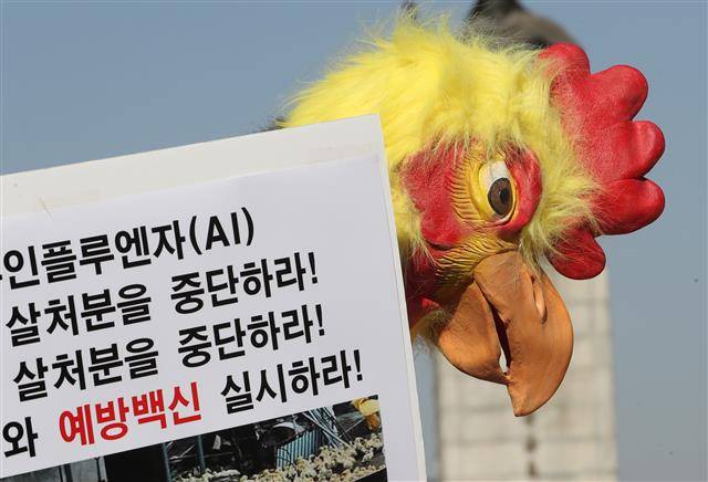 20일 서울 광화문 이순신 동상 앞에서 열린 조류인플루엔자(AI) 예방적 살처분 중단과 동물복지, 백신 접종 실시를 촉구하는 기자회견에서 닭 가면을 쓴 한국동물보호연합 회원이 구호를 외치고 있다.뉴스1