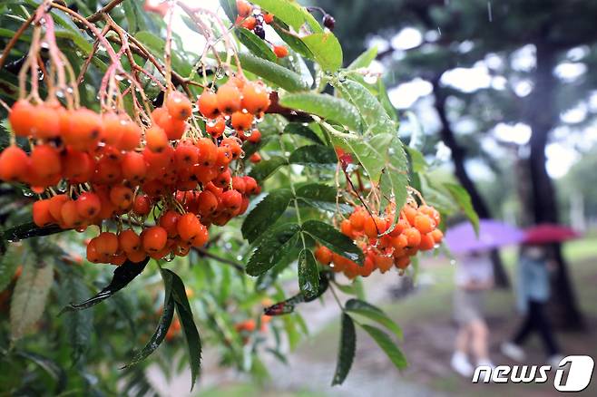 뉴스1 DB(사진은 기사 내용과 무관함) / 2021.9.7/뉴스1 © News1 황기선 기자