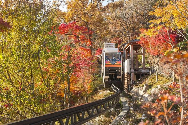 화담숲은 산책길 전체가 완만한 경사로로 누구나 부담없이 걸을 수 있고, 모노레일을 이용해 편안한 관람도 가능하다. 화담숲 제공