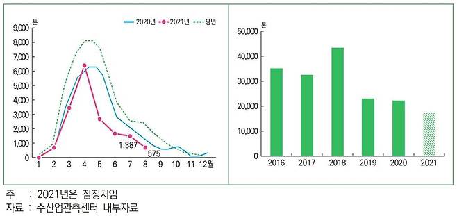 멍게 월별 생산량 추정치(왼쪽)와 연산별 누계(8월) 생산량 [수산업관측센터 제공. 재판매 및 DB금지]