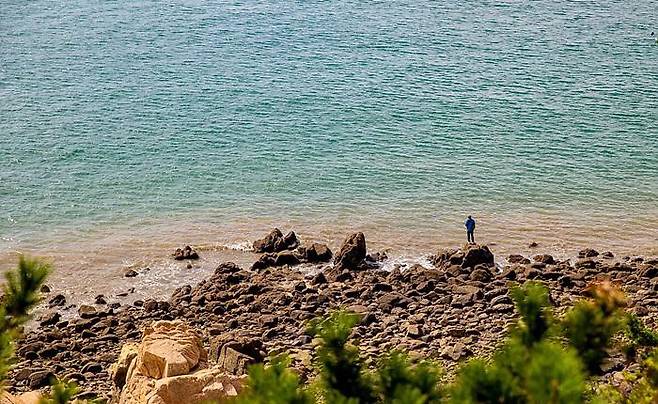 인천 중구 소무의도 무의바다누리길