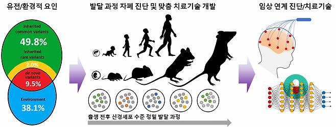 자폐 조기 진단 및 치료제 개발 모식도.[KIST 제공]