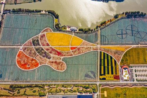 Map of fish-shaped rice fields in Nanhu District, Jiaxing