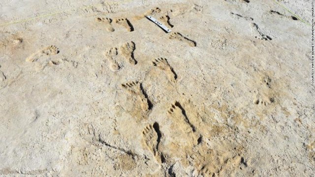 미국 뉴멕시코주 남쪽 화이트 샌드 국립공원에서 발견된 2만 3000년~2만 1000년 전 인류가 남긴 발자국 화석. 미국 본머스대