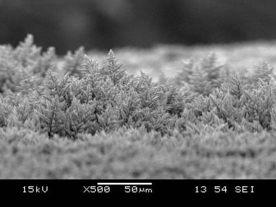 소·부·장 대중화 대국민 공모전 입선, 김석훈 씨의 '눈 내린 소나무 숲'. 재료연구원 제공