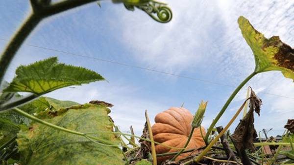 [사진 제공: 연합뉴스]