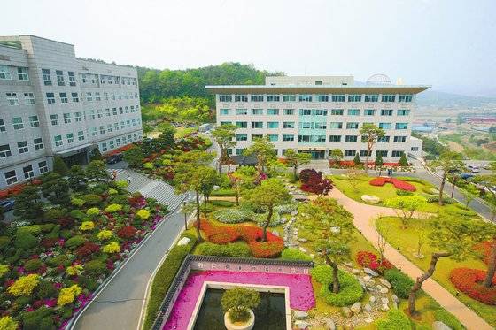 서정대는 ‘취업에 강한 대학’이다. 취업률이 73.2%에 달한다. 2013년부터 현재까지 공무원 합격자 139명을 배출했다. [사진 서정대]