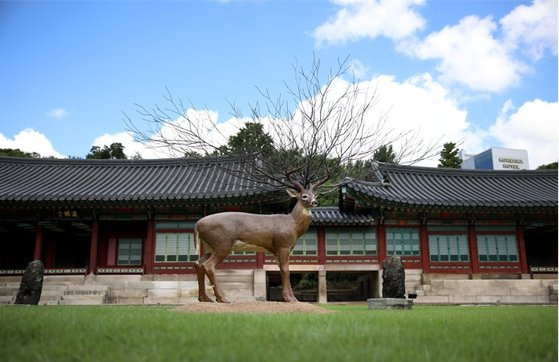 김명범 작가의 '원'. 동물과 식물이 신비롭게 합체된 사슴이 눈길을 사로잡는다. [사진 국립현대미술관]