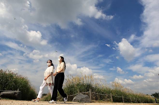 오는 25일은 동해안 일부 지역을 제외한 전국이 맑은 날씨를 보일 전망이다. 사진은 24일 서울 마포구 하늘공원 억새밭을 찾은 시민 모습. /사진=뉴스1