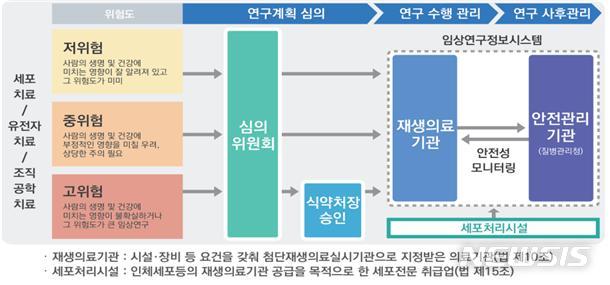 [서울=뉴시스]첨단재생의료 임상연구 위험도 분류체계 및 심의·승인 절차 등 (사진=식품의약품안전처 제공)