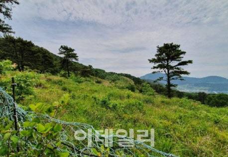 가덕도 신공항 부지 근처 축사. 사진=지지옥션 제공