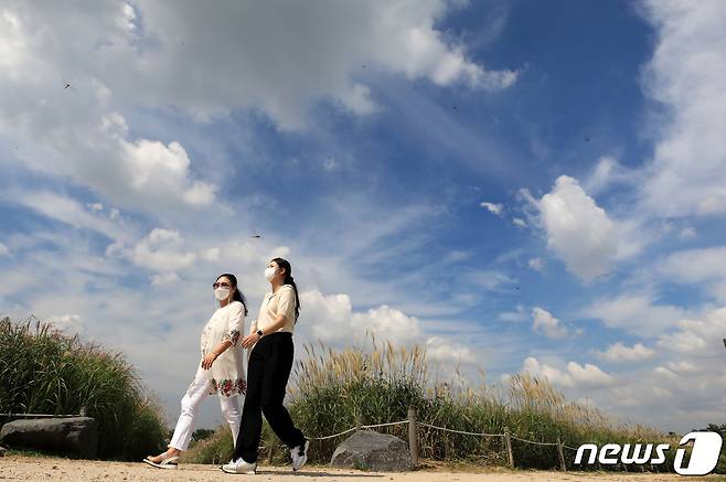 서울 마포구 하늘공원 억새밭. 2021.9.24/뉴스1 © News1 구윤성 기자