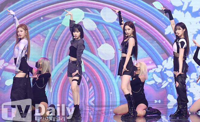 티브이데일리 포토