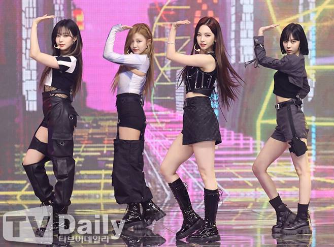 티브이데일리 포토