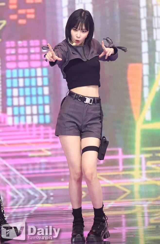 티브이데일리 포토