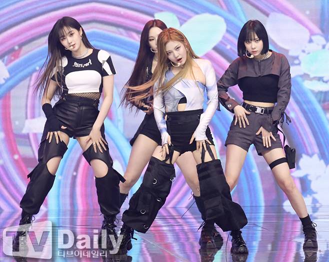 티브이데일리 포토