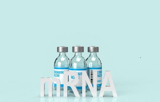 모더나의 코로나 예방 효과가 화이자 보다 약 15% 정도 높다는 미국 CDC의 발표가 있었다