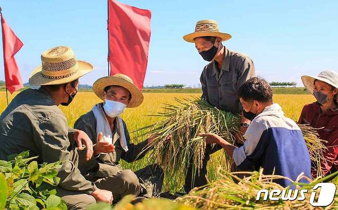 (평양 노동신문=뉴스1) = 북한 노동당 기관지 노동신문은 지난 25일 각지 당 조직들에서 농사 성과를 위한 '사상의 포문'을 열고 선전선동 집중 공세를 진행하고 있다고 전했다. 사진은 만경대구역 대평농장의 모습. [국내에서만 사용가능. 재배포 금지. DB 금지. For Use Only in the Republic of Korea. Redistribution Prohibited] rodongphoto@news1.kr