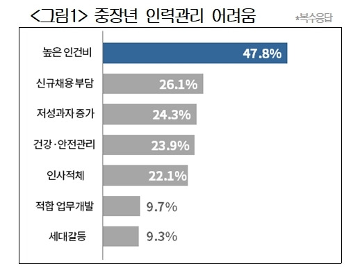 중장년 인력관리가 어려운 이유 [사진=대한상의]