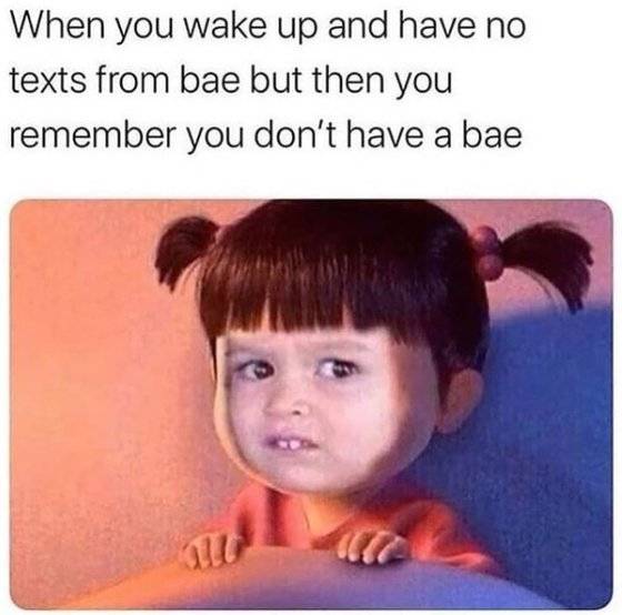 클로이의 모습을 활용한 밈. 클로이 인스타그램 캡처