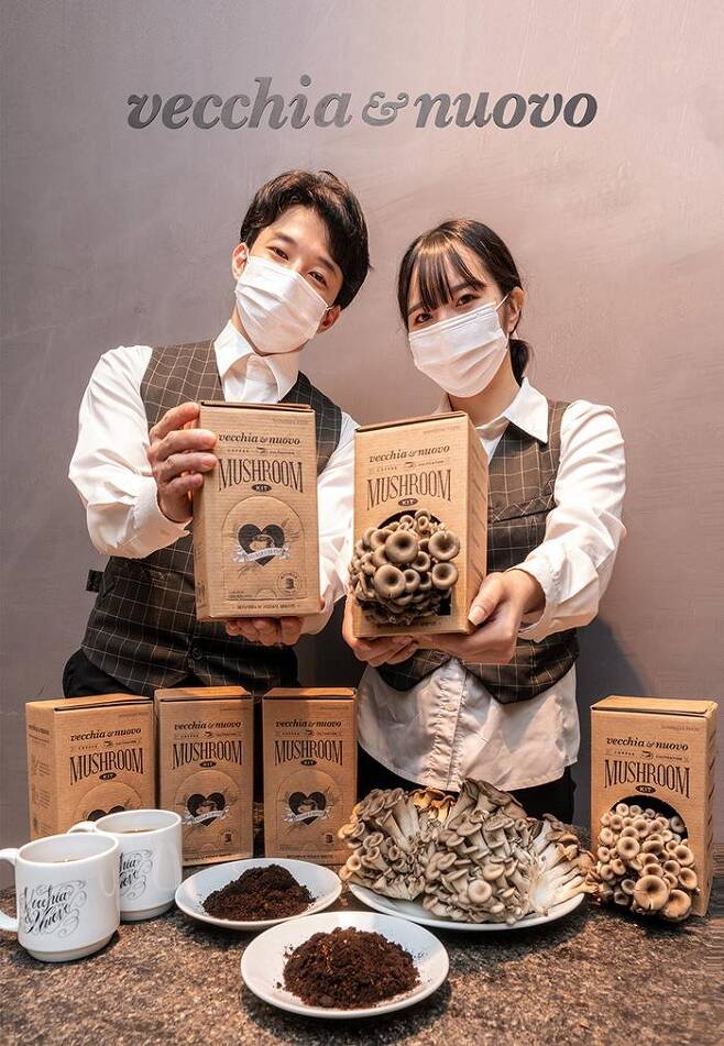 커피박 활용한 친환경 버섯 재배 키트 [신세계푸드 제공. 재판매 및 DB 금지]