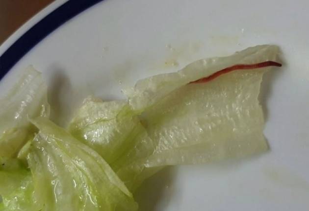 햄버거에서 발견된 정체불명 벌레/사진=연합뉴스