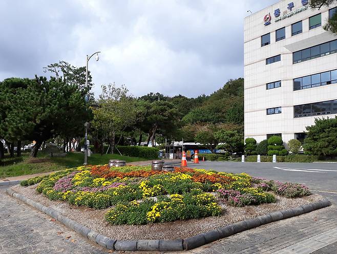 울산 동구청사 화단. *재판매 및 DB 금지