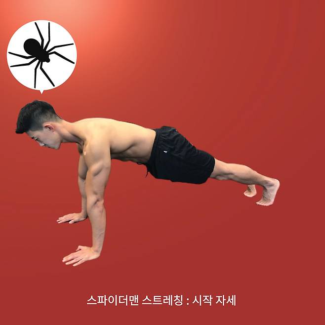 스트레칭 및 준비 동작 1.